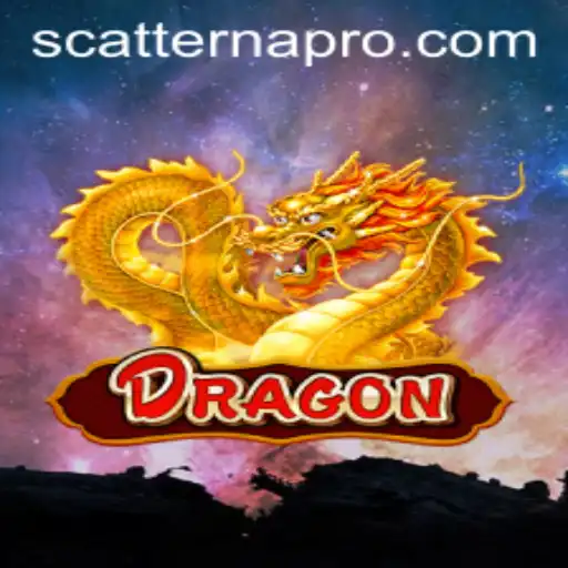 Discovering the Thrills of 'Dragon' in the World of Online Casinos